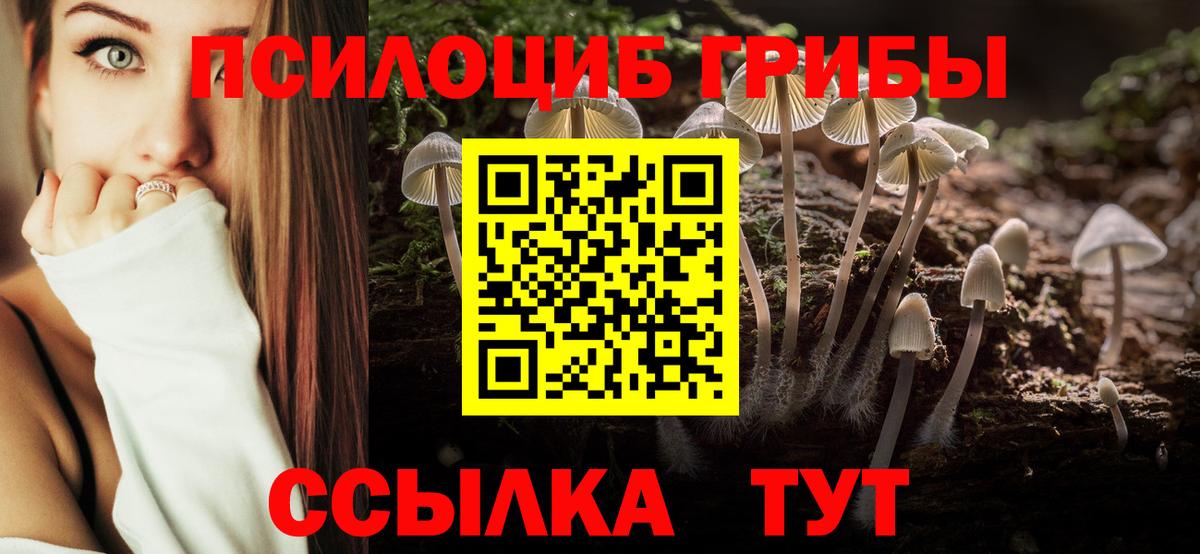 Галлюциногенные грибы MAGIC MUSHROOMS  Псилоцибиновые грибы мухоморы  Ливны  Вход с VPN 